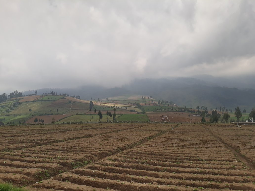 Tour Bromo Vulkaan-玛琅必去景点