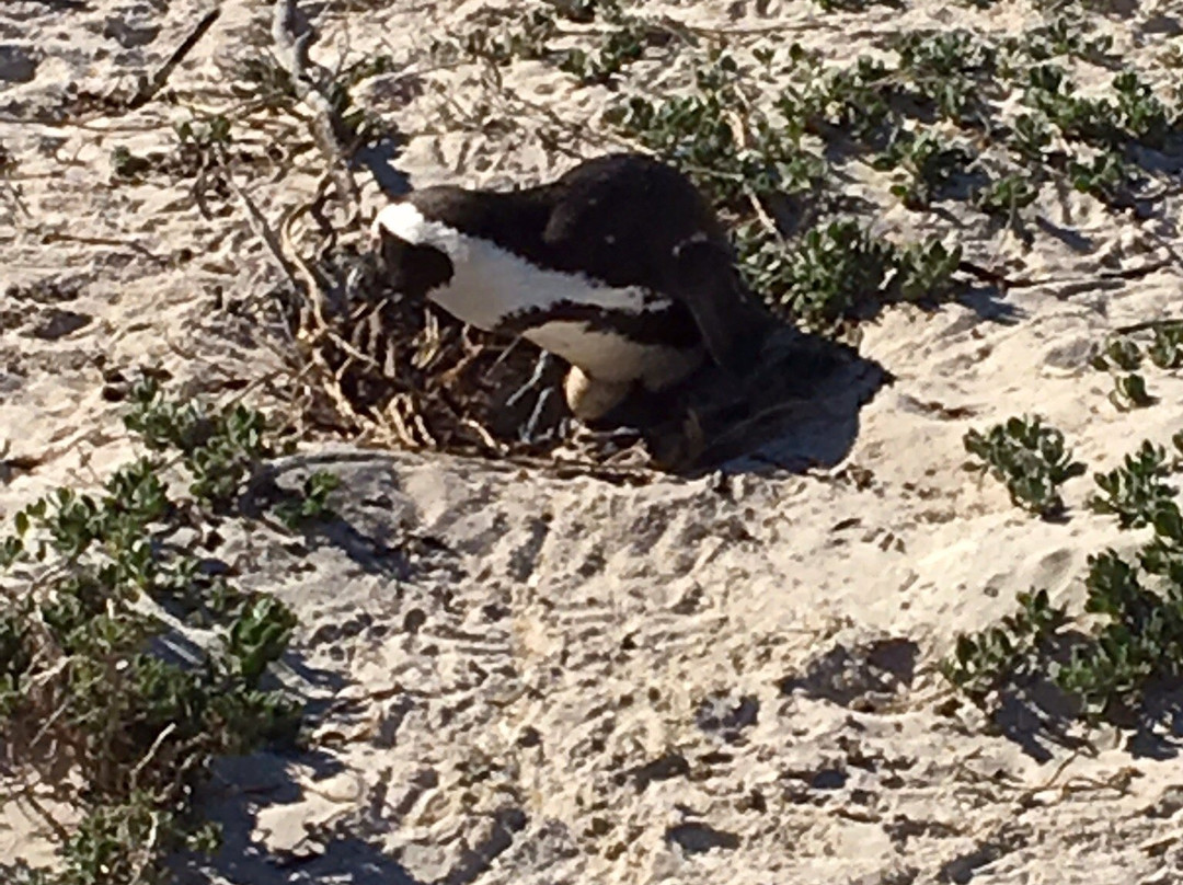 Seaforth Beach-西门镇必去景点