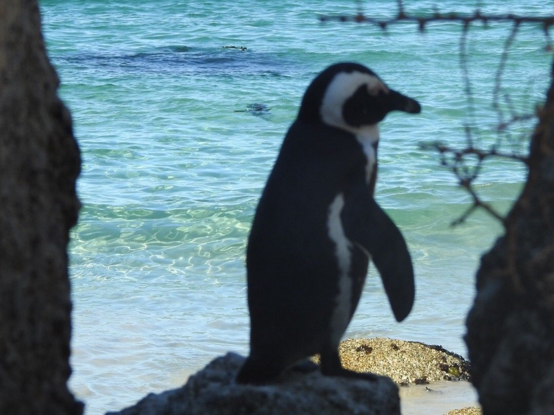 Seaforth Beach-西门镇必去景点
