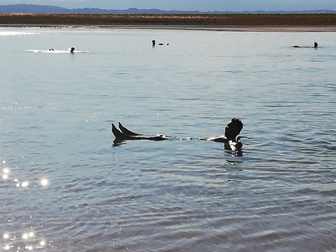 Stargazing Chile-圣佩德罗-德阿塔卡马必去景点