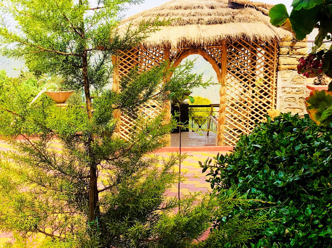 The Nature Walk主图