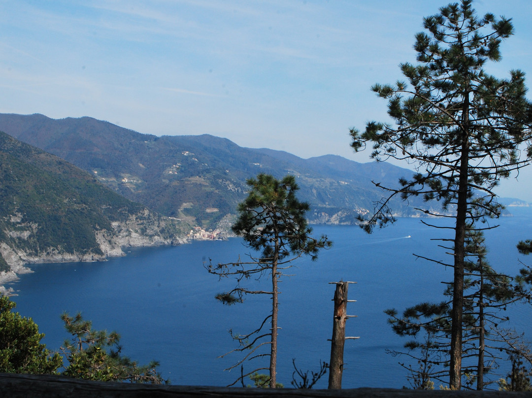 Levanto to Monterosso Trail景点图片