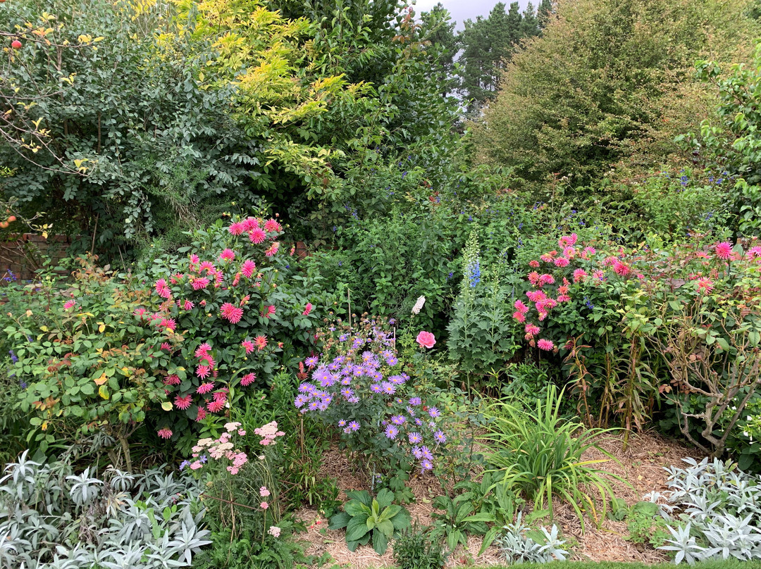 Barewood Garden景点图片