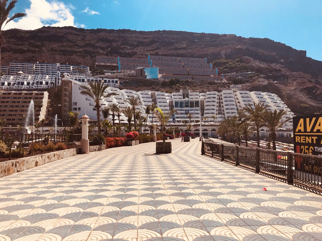 Suite Gran Canaria