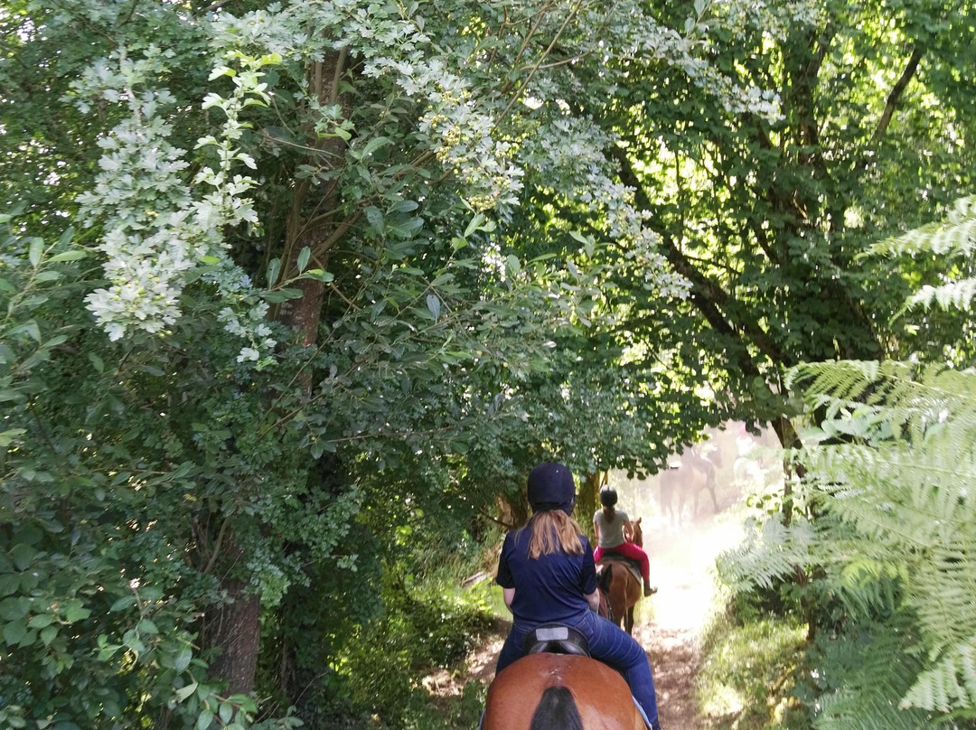 Lee Valley Equestrian Centre景点图片