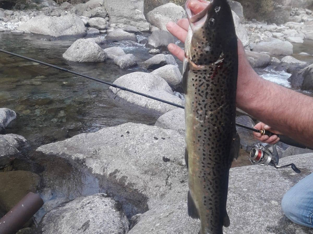 Riserva di Pesca Turistica del Torrente Forzo-Quandin必去景点