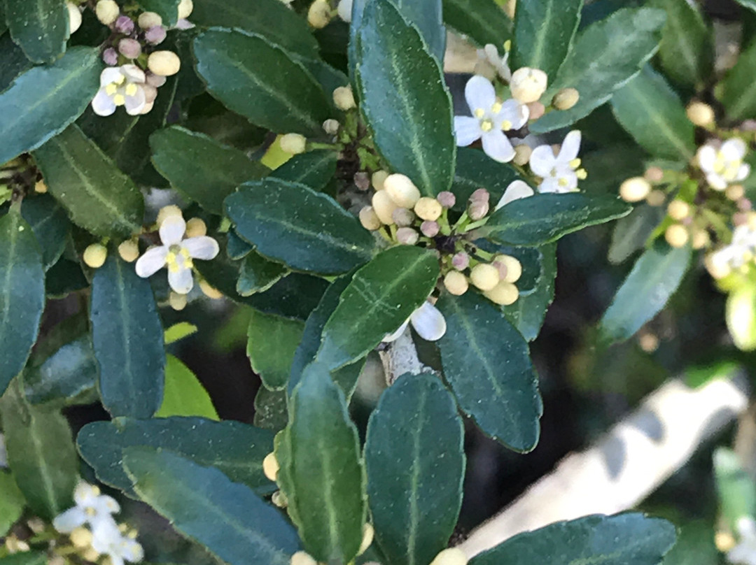 Bon Secour National Wildlife Refuge-格尔夫海岸必去景点