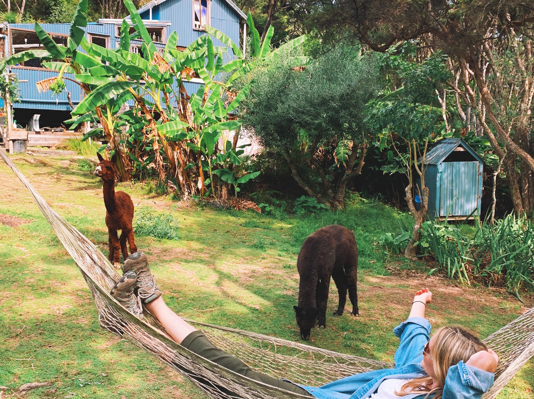 Waiheke Island Guesthouse主图