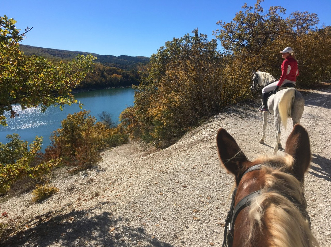 Horse Rides Eco Rest景点图片