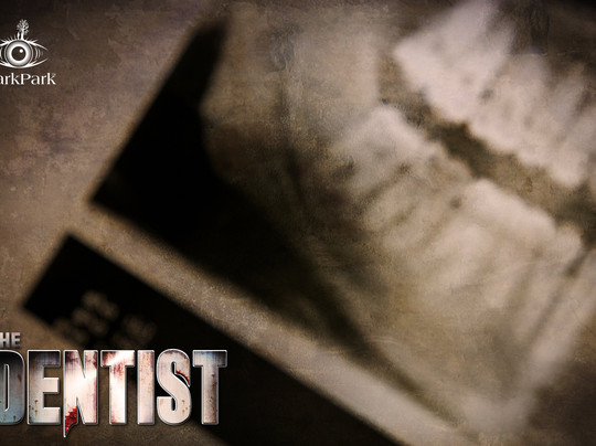 DarkPark-代尔夫特必去景点