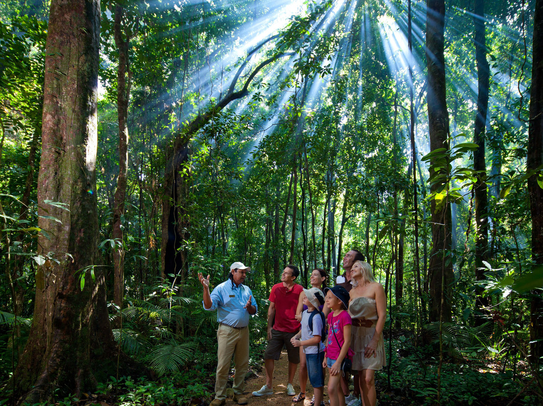 Mossman Gorge Cultural Centre-丹特里区必去景点