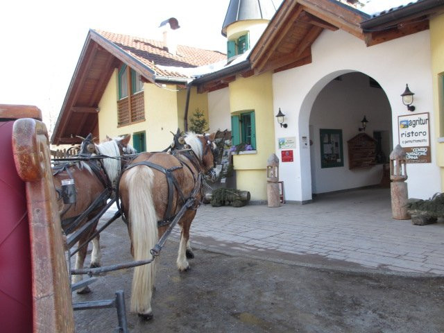 Agritur Centro Equitazione Alpina Val di Sole景点图片