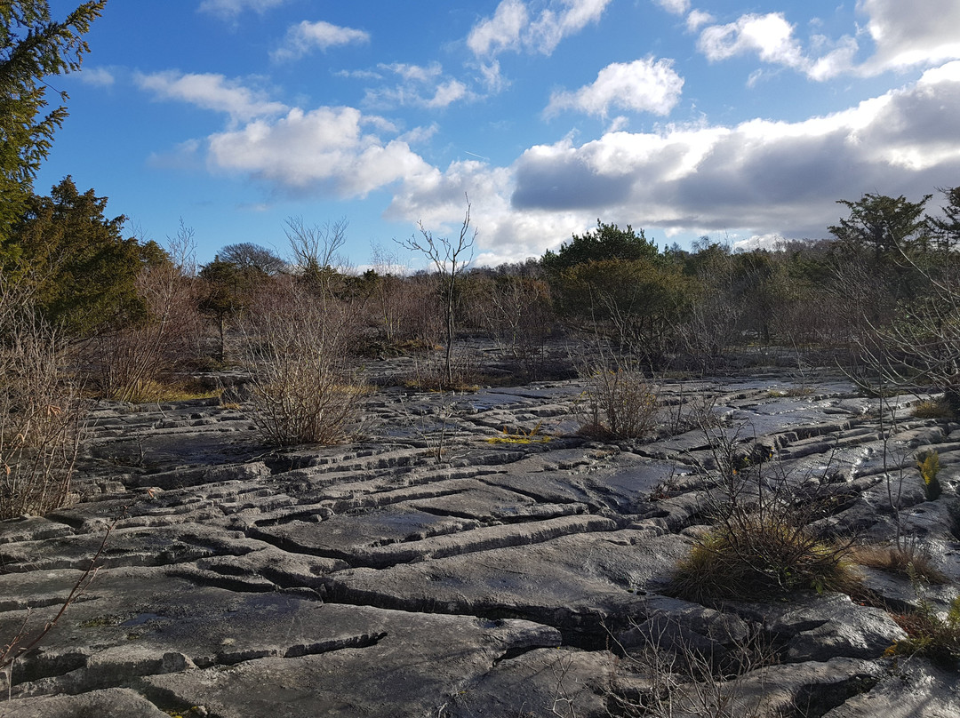 Gait Barrows National Nature Reserve-Silverdale必去景点