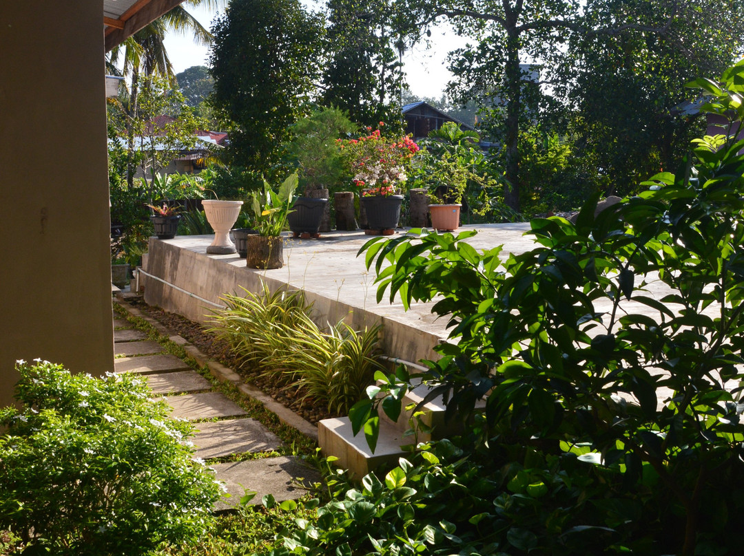 Tropicana Guest House主图