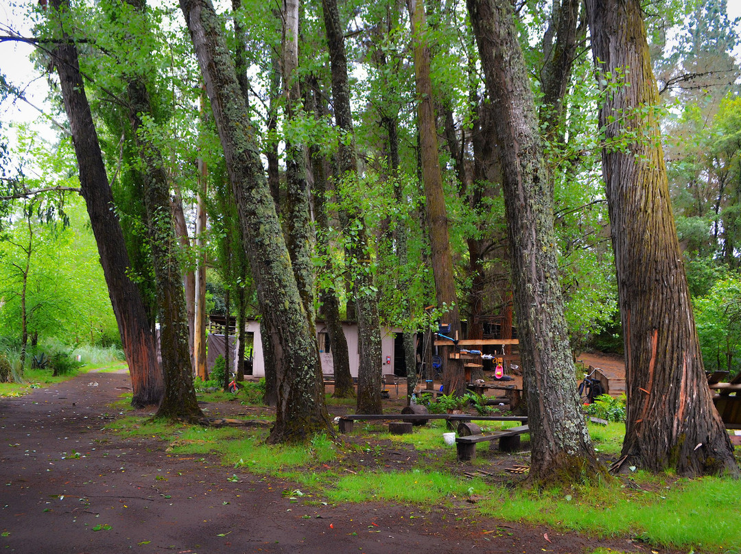 萨尔瓦多吕康旅馆主图