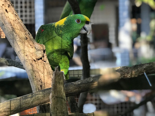 Xbalanque Resort主图