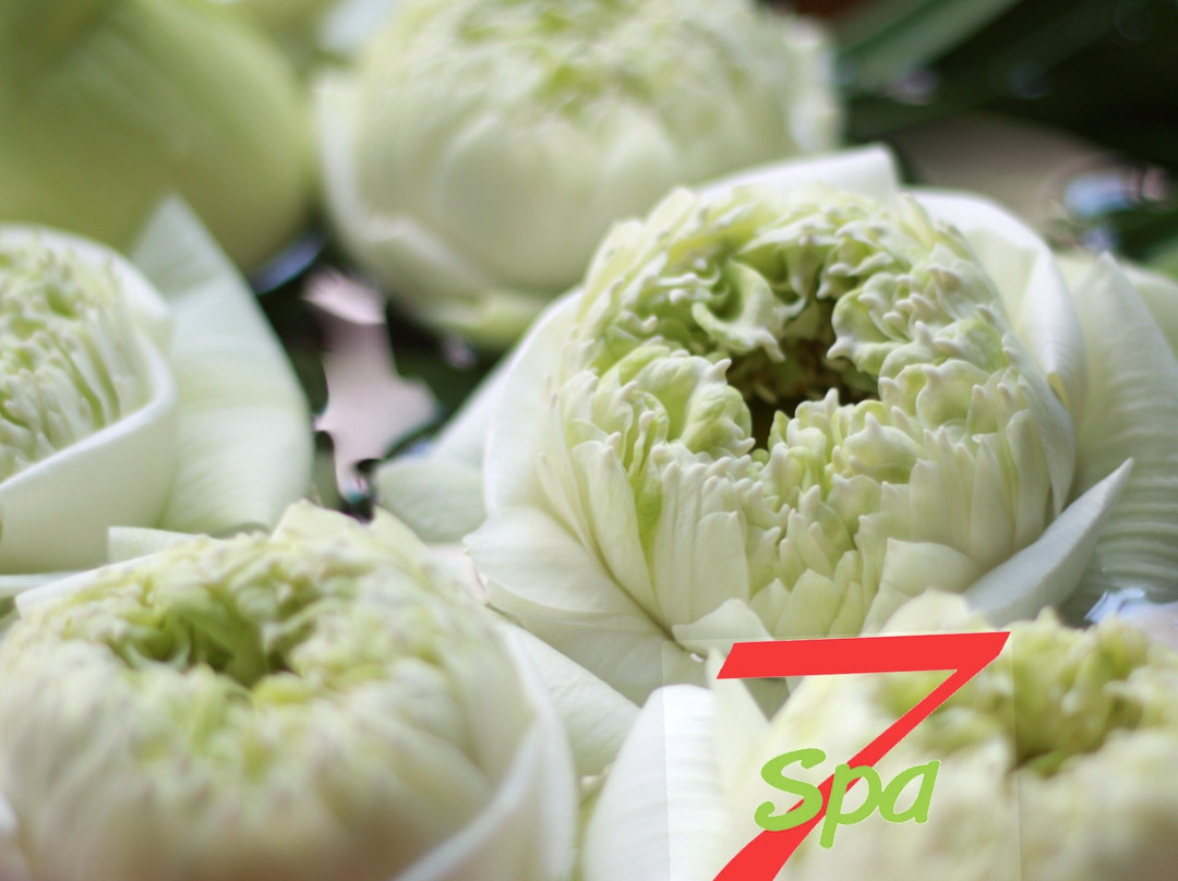 7 Spa奢华水疗中心-Nong Prue必去景点