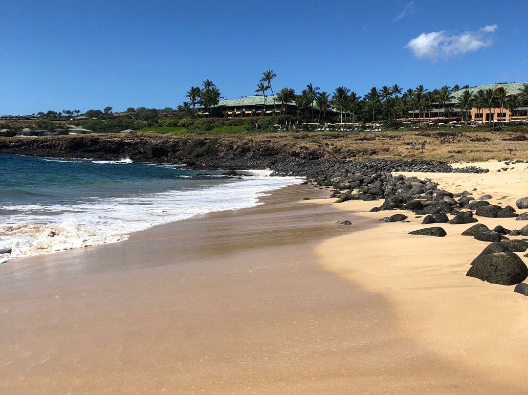 Sail Maui景点图片
