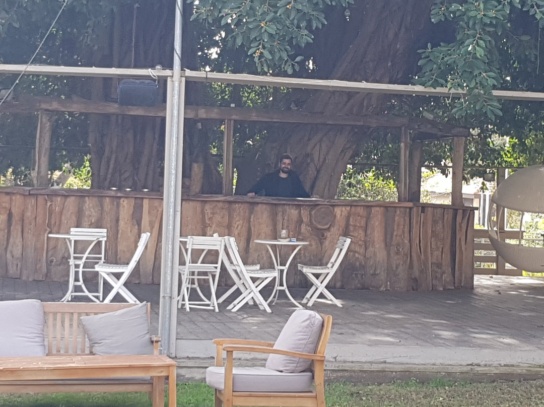 Nea Resort & People主图