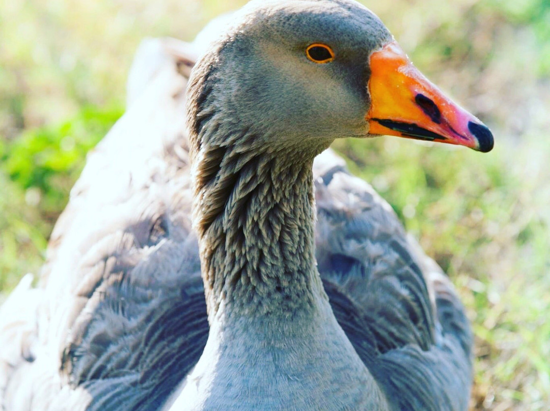 Heritage Park-喜瑞都必去景点