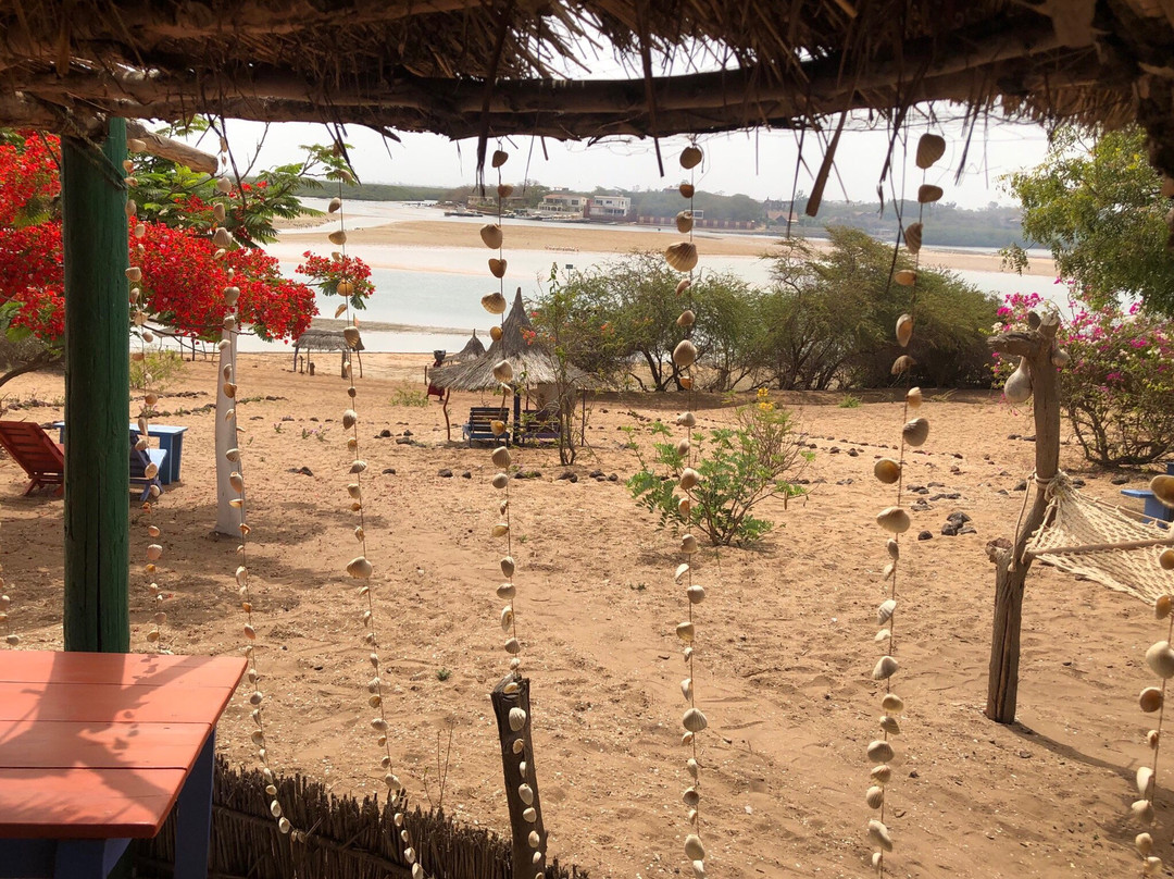 塞内加尔旅游攻略图片