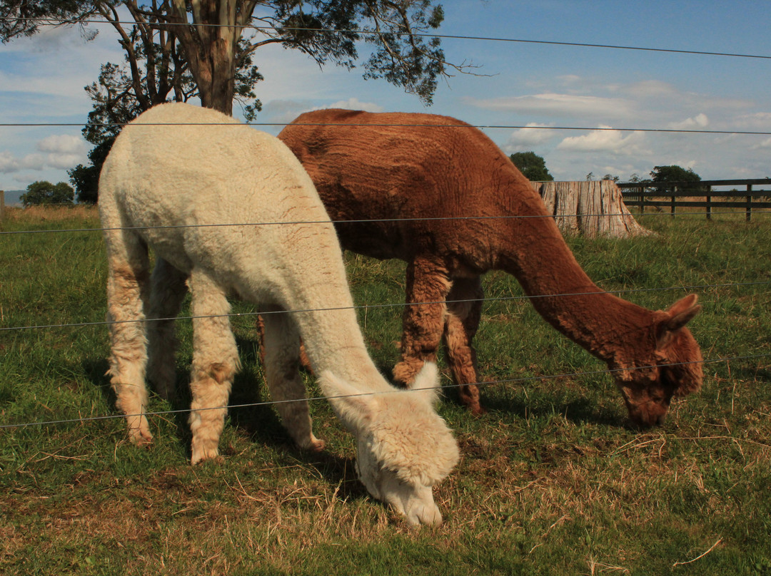 艺术屋家庭旅馆主图