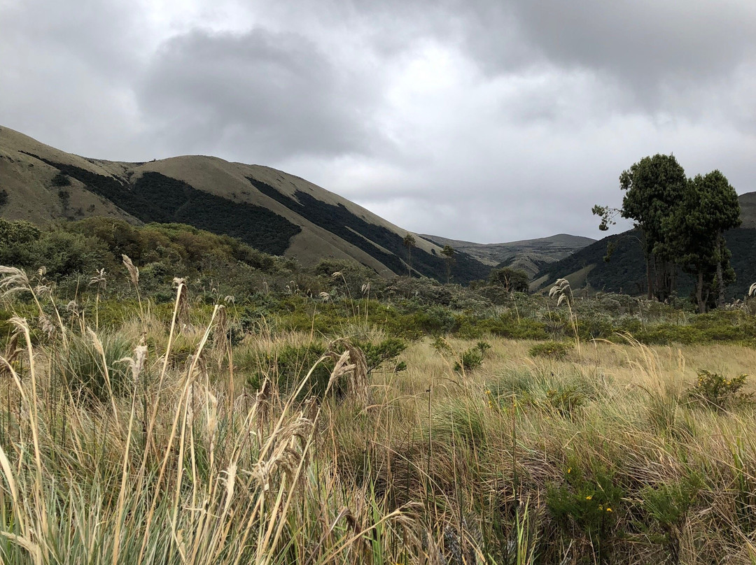 Laguna de Cumbal景点图片