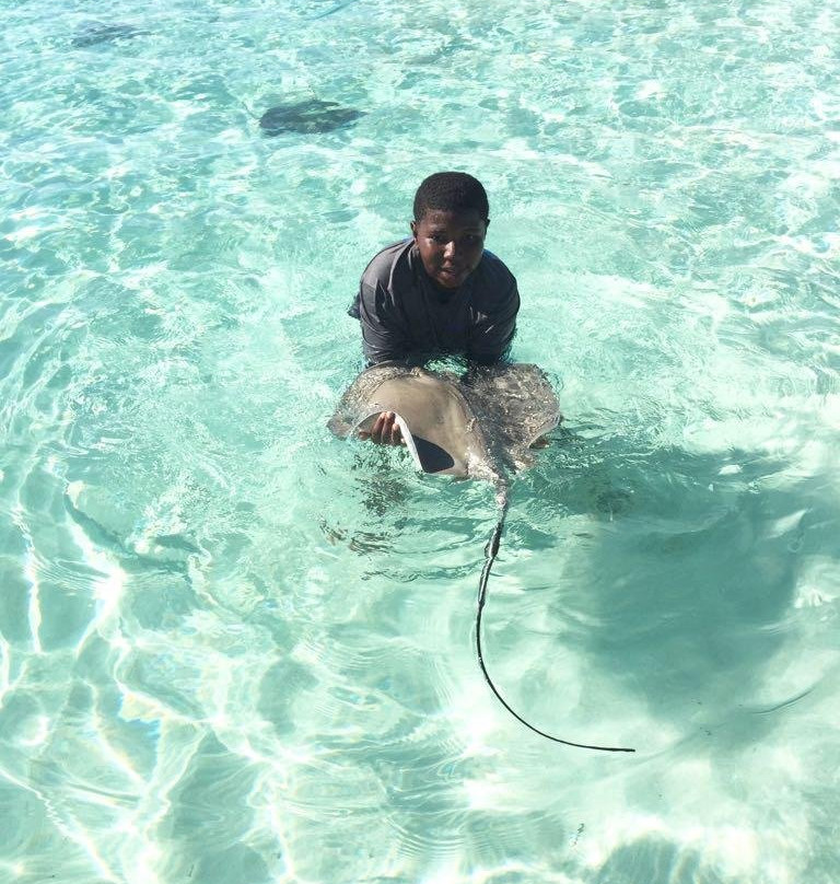 Papa J Tours-Cockburn Town必去景点