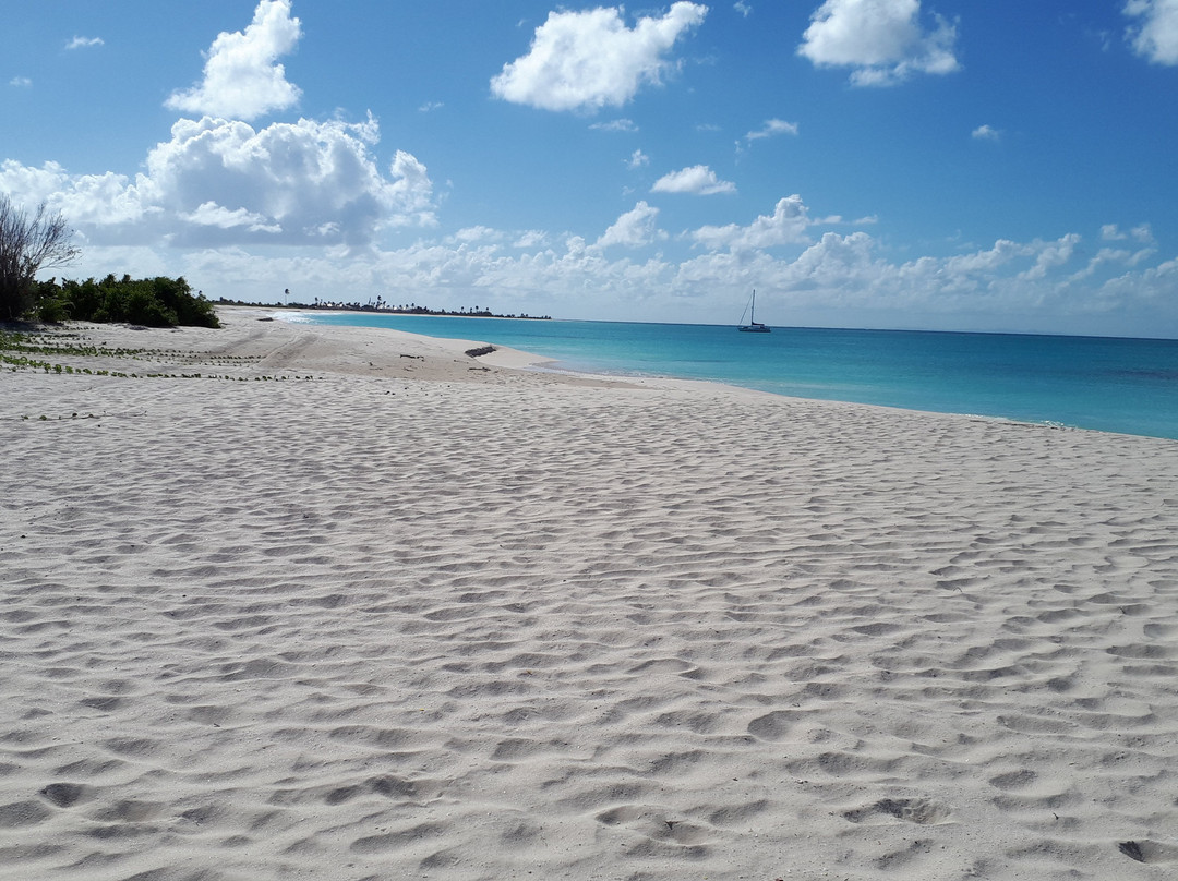 Princess Diana Beach-巴布达必去景点