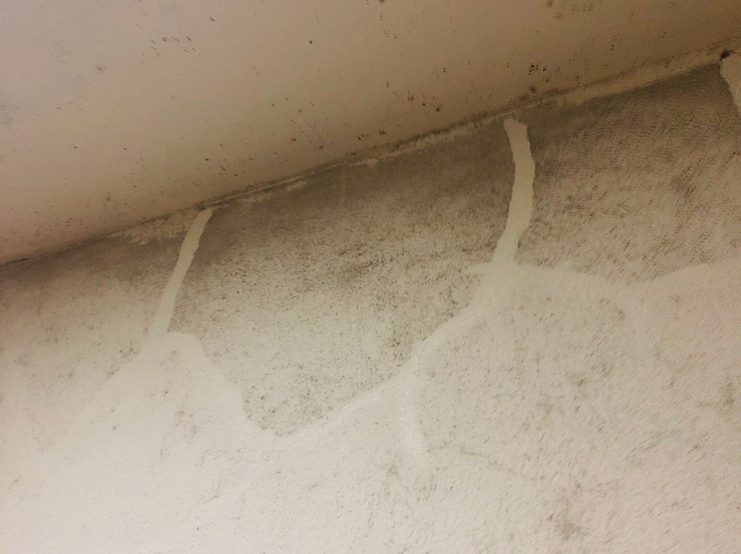 Hotel Virreyes主图