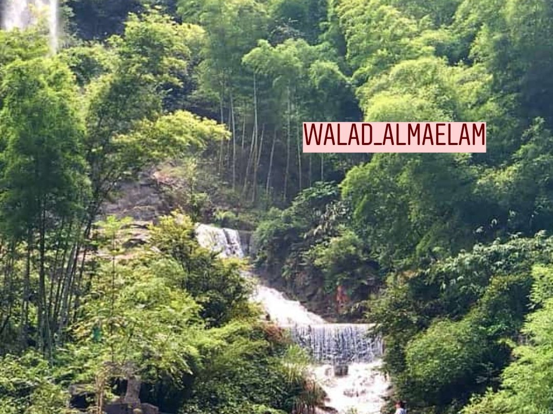 茶杯泉-张家界市必去景点