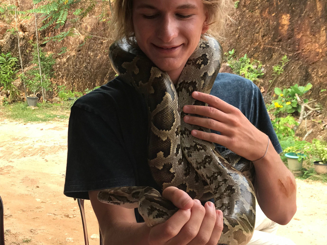 Snake Farm Thelijjawila景点图片