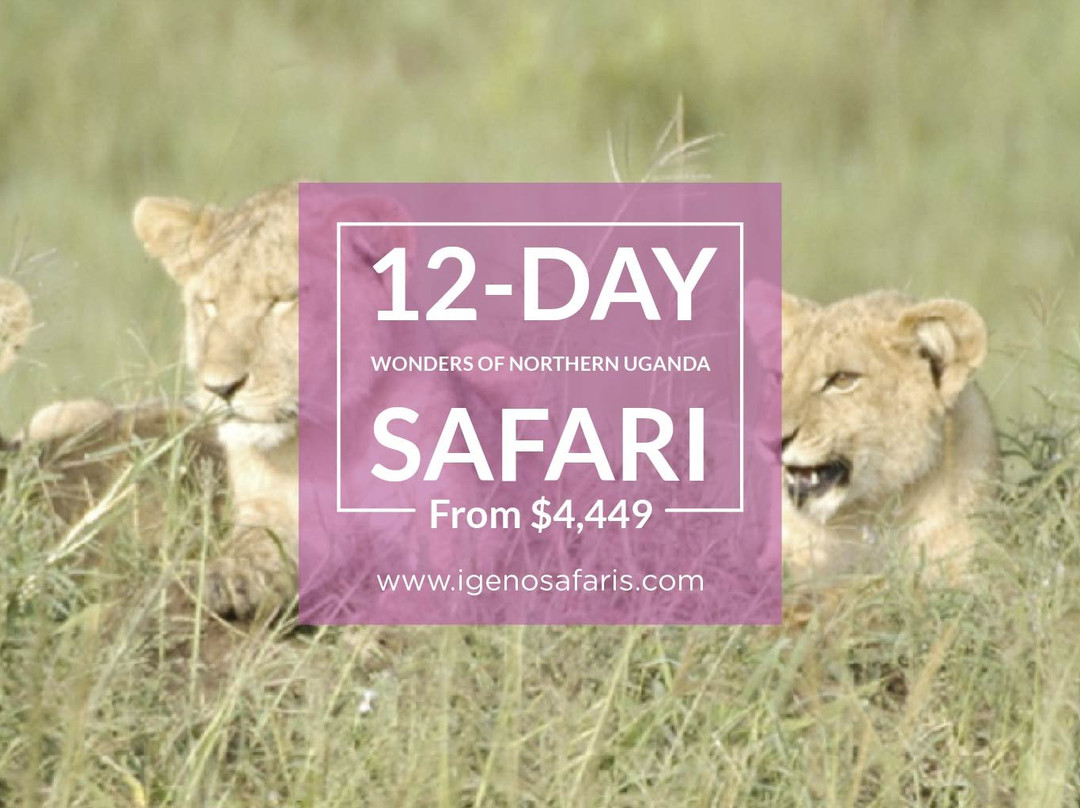 Mount Elgon Hotel and SPA主图