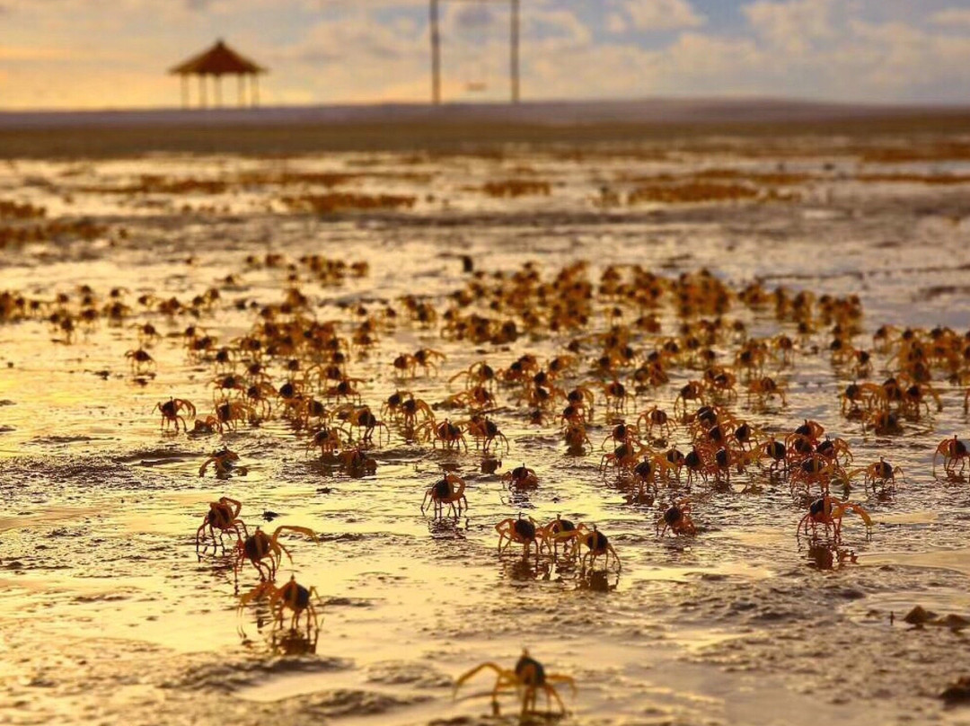 Leebong Island Resort主图