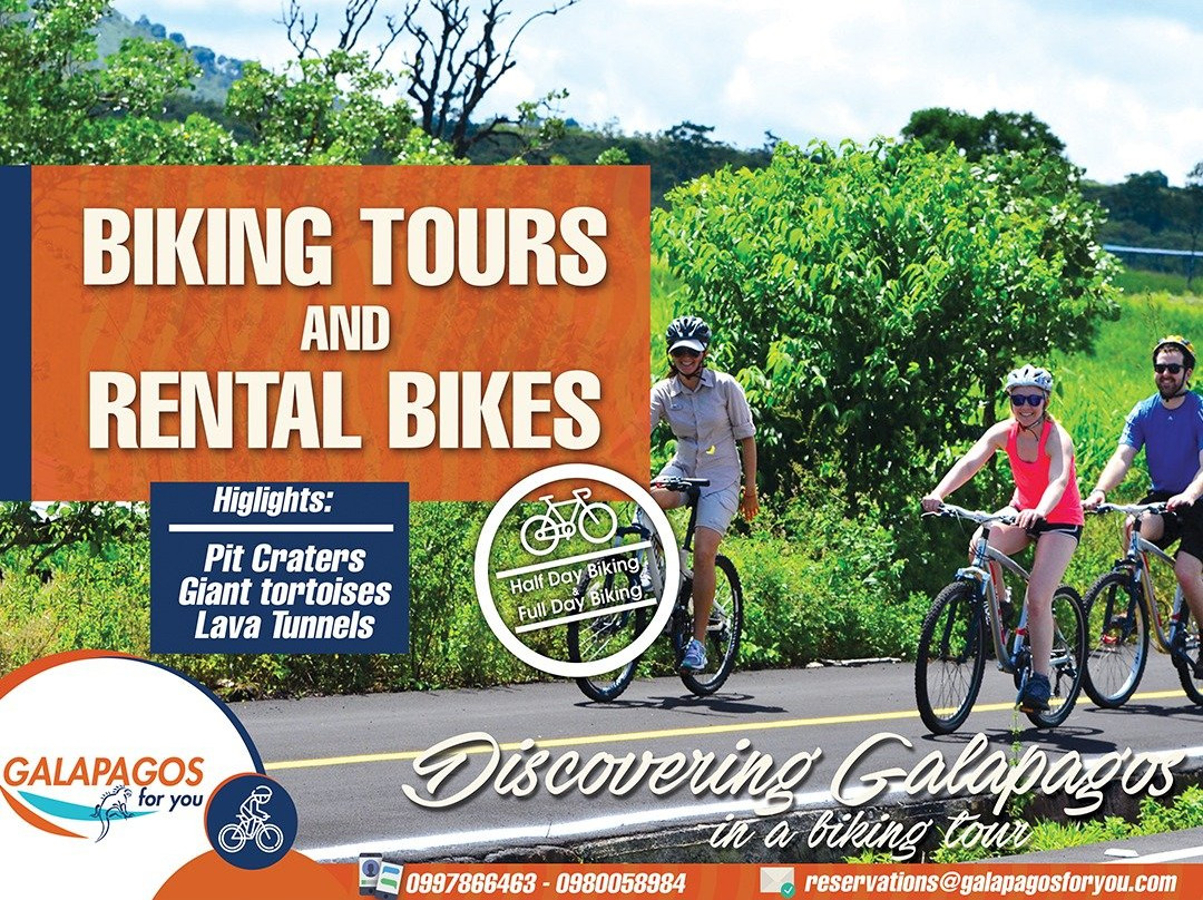 Galapagos For You-阿约拉港必去景点