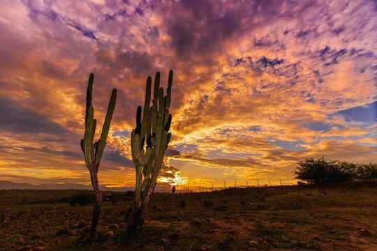 Bogota Bungee Jumping-Funza必去景点