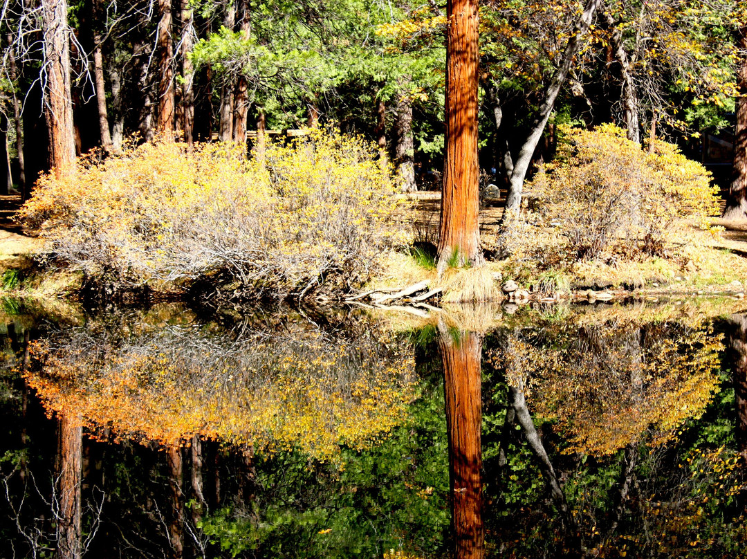 Upper Pines Campground主图