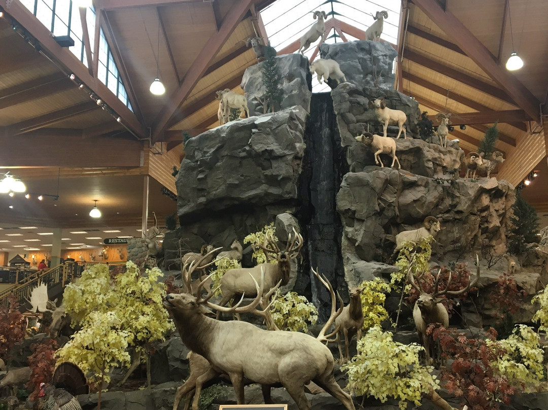 Cabela's-Dundee必去景点