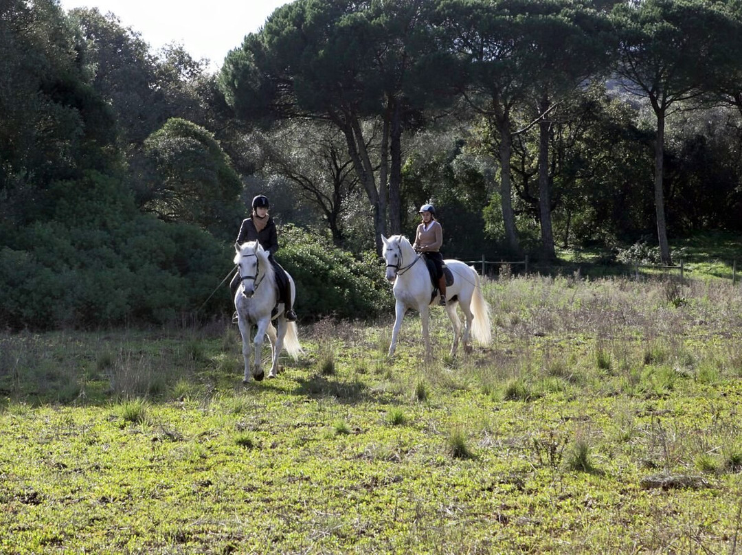 Horse Riding Center Picadeiro d'Arrábida-Vila Nogueira de Azeitao必去景点