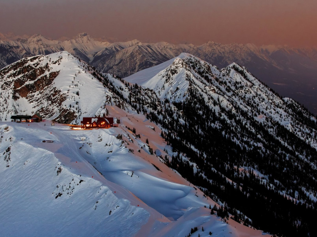 Synergy Aviation-埃德蒙顿必去景点