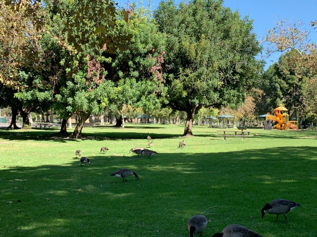 Yorba Regional Park-阿纳海姆必去景点