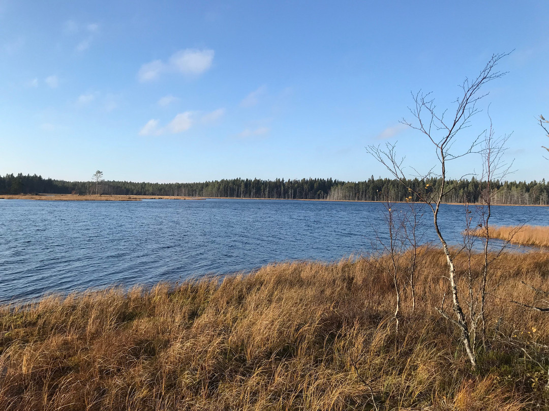 Grössjön Nature Reserve景点图片