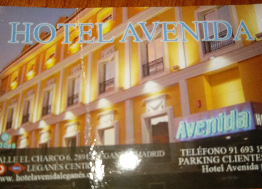 Hotel Avenida Leganes主图