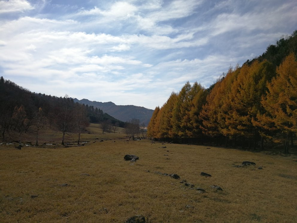 金山鹿苑-伊春市必去景点