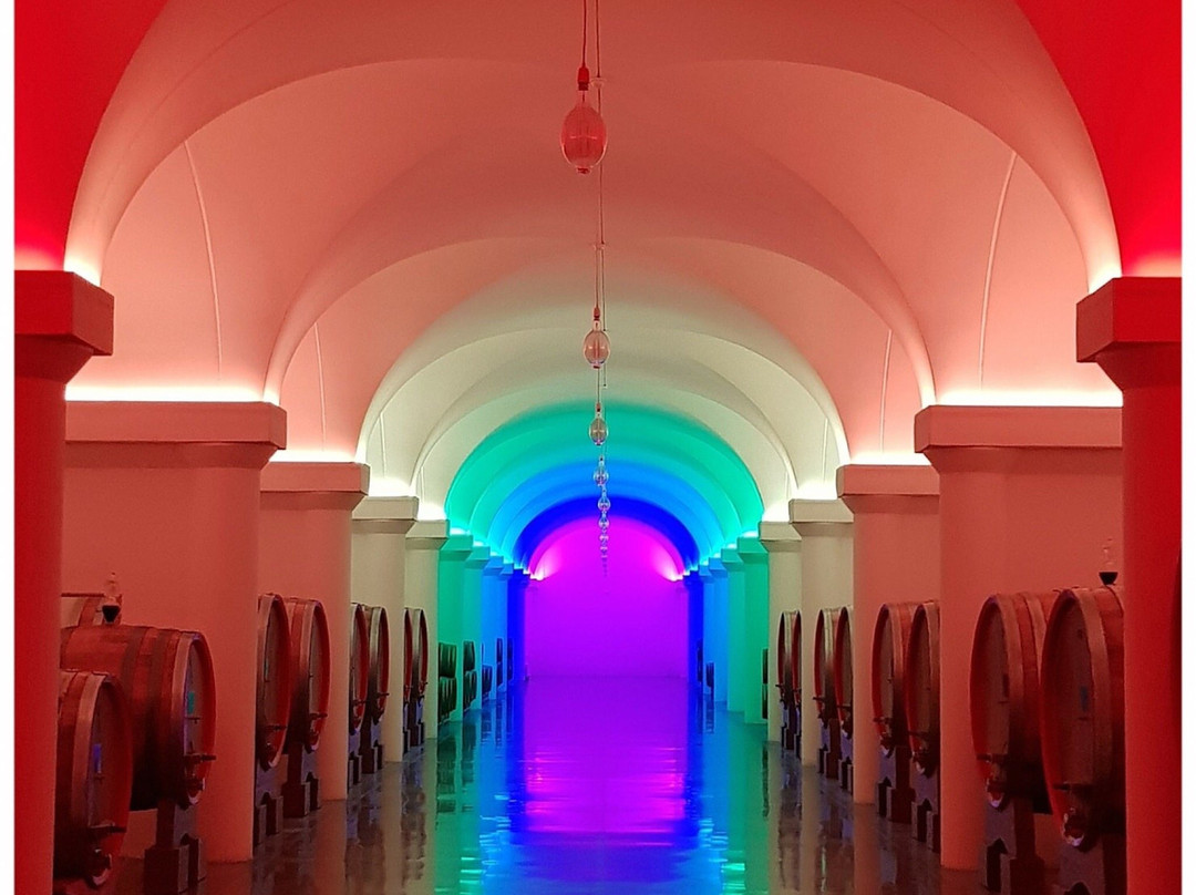 Azienda Vinicola Tabarrini-Montefalco必去景点