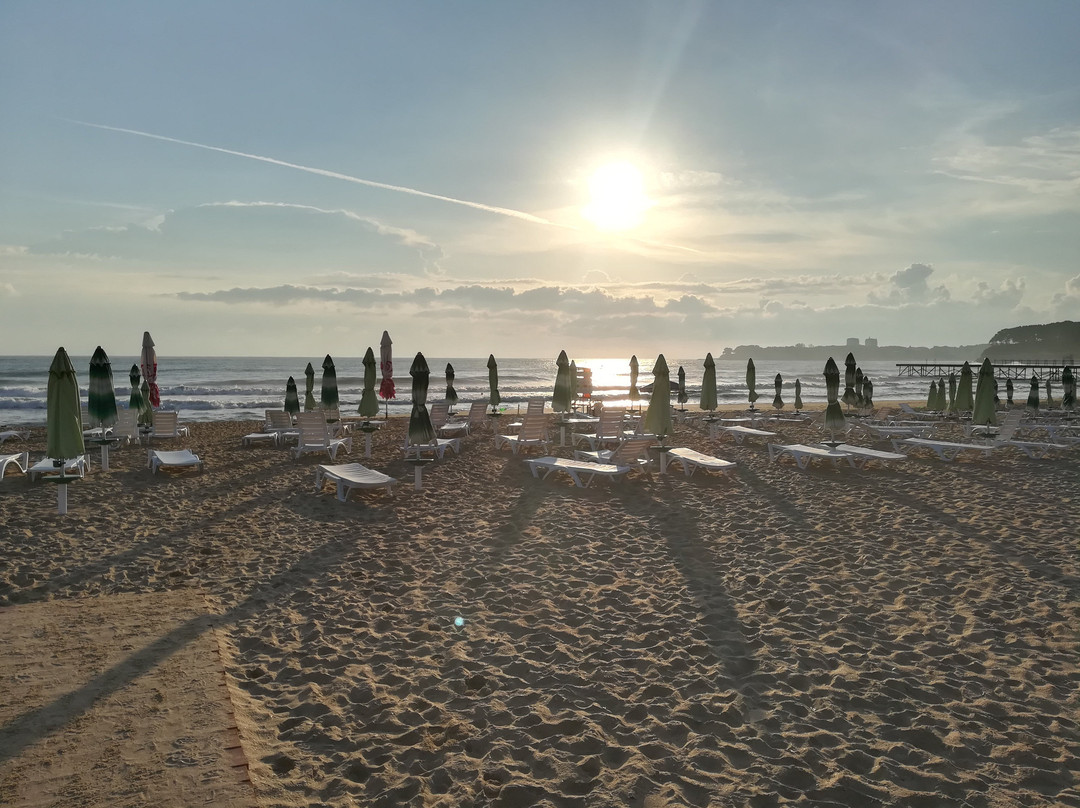 Hotel Forest Beach主图