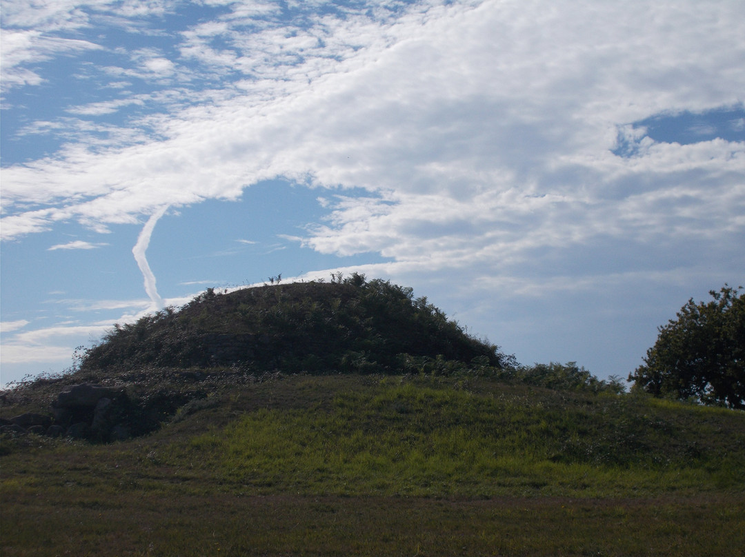 Tumulus de Dissignac景点图片