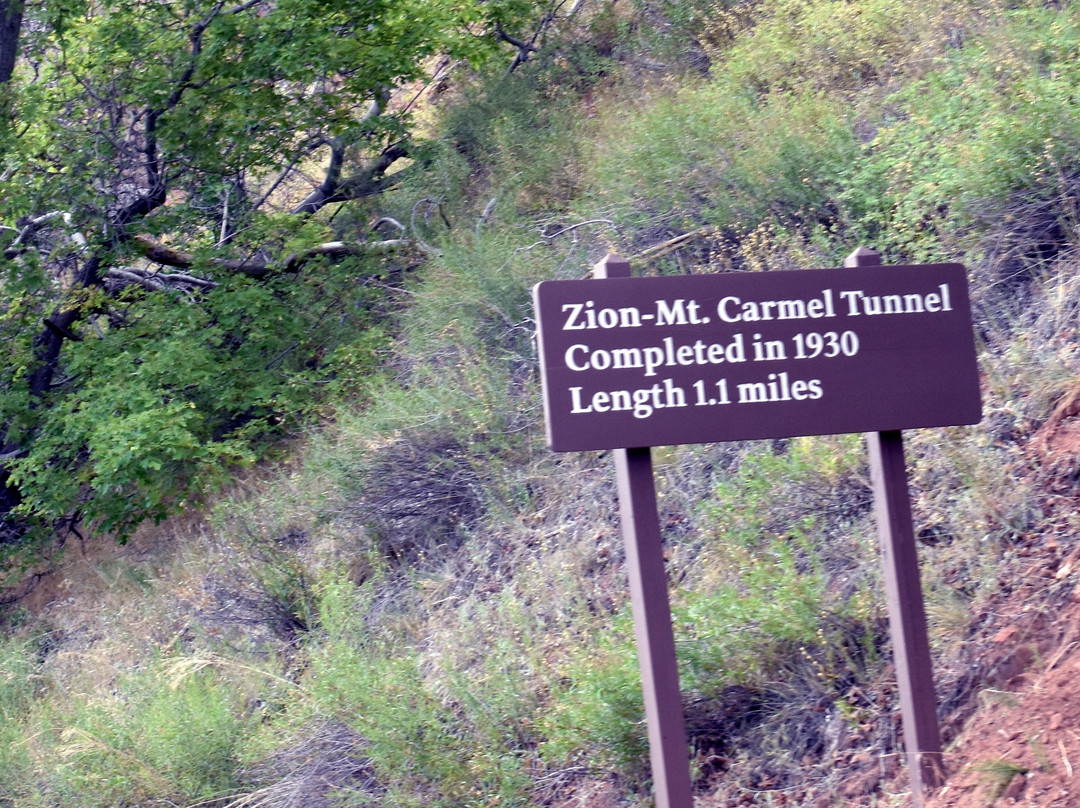 Zion-Mt. Carmel Tunnel景点图片