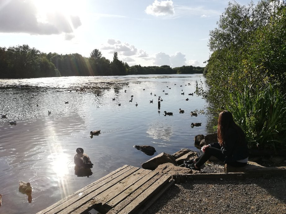 Chorlton Park-曼彻斯特必去景点