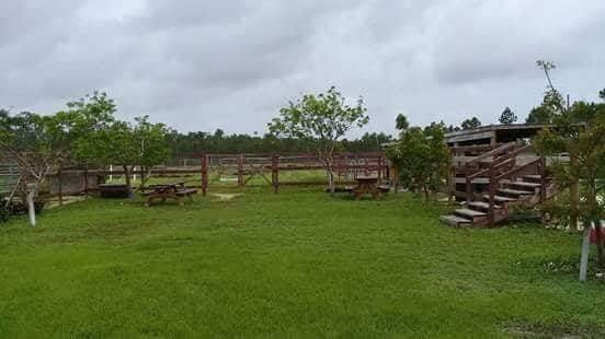 Ol' Freetown Farm景点图片